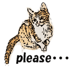 CATOON English ver. sticker #10498837