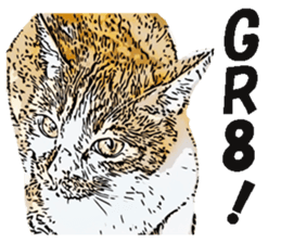 CATOON English ver. sticker #10498838