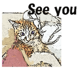 CATOON English ver. sticker #10498839