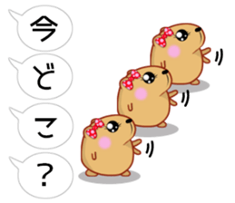 Balloon kyapibara women's sticker #10498860