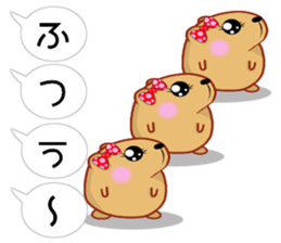 Balloon kyapibara women's sticker #10498875