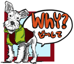 Our Schnauzers - Comics sticker #10501636