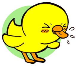 Chicha funny duck sticker #10503088
