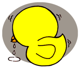 Chicha funny duck sticker #10503100
