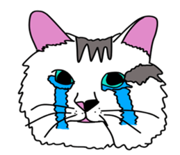 ui cnannel8 sticker #10507360