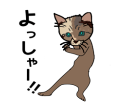 ui cnannel8 sticker #10507362