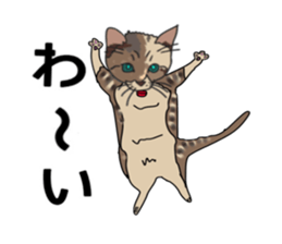 ui cnannel8 sticker #10507364