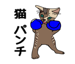 ui cnannel8 sticker #10507367