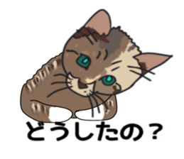 ui cnannel8 sticker #10507369