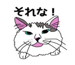 ui cnannel8 sticker #10507370