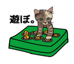 ui cnannel8 sticker #10507371