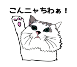 ui cnannel8 sticker #10507377