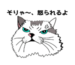 ui cnannel8 sticker #10507378