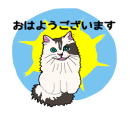 ui cnannel8 sticker #10507381