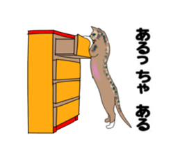 ui cnannel8 sticker #10507384