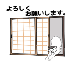 ui cnannel8 sticker #10507399