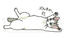 cat on an empty stomach in balloon style sticker #10508888
