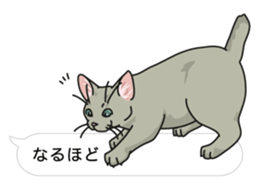 cat on an empty stomach in balloon style sticker #10508891