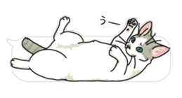 cat on an empty stomach in balloon style sticker #10508892