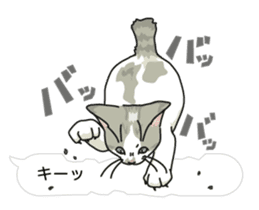 cat on an empty stomach in balloon style sticker #10508895