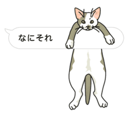 cat on an empty stomach in balloon style sticker #10508897
