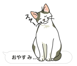 cat on an empty stomach in balloon style sticker #10508898