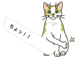 cat on an empty stomach in balloon style sticker #10508900