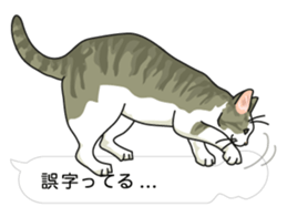 cat on an empty stomach in balloon style sticker #10508908