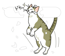 cat on an empty stomach in balloon style sticker #10508915