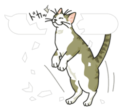 cat on an empty stomach in balloon style sticker #10508915