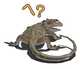 Kunoichi and Pogona vitticeps of Futoppi sticker #10509175