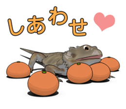 Kunoichi and Pogona vitticeps of Futoppi sticker #10509182