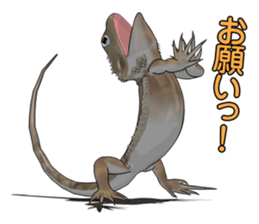 Kunoichi and Pogona vitticeps of Futoppi sticker #10509186