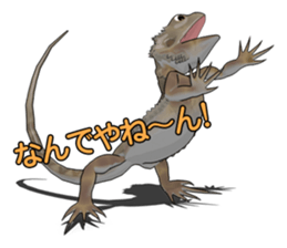 Kunoichi and Pogona vitticeps of Futoppi sticker #10509187