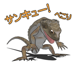 Kunoichi and Pogona vitticeps of Futoppi sticker #10509198