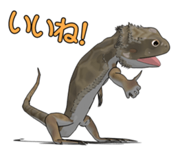 Kunoichi and Pogona vitticeps of Futoppi sticker #10509199
