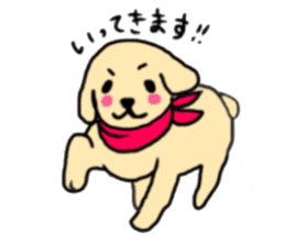 Golden Retriever PINKY sticker #10510681