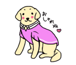 Golden Retriever PINKY sticker #10510710