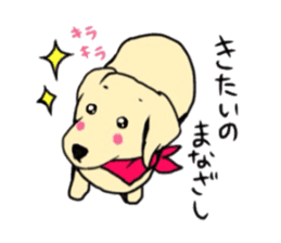 Golden Retriever PINKY sticker #10510713