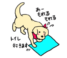 Golden Retriever PINKY sticker #10510714