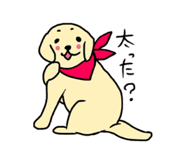Golden Retriever PINKY sticker #10510718