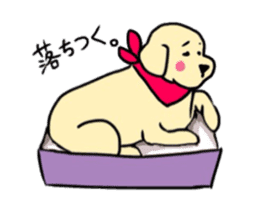 Golden Retriever PINKY sticker #10510719