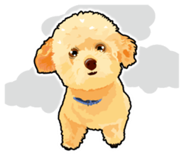 Exciting toy poodie sticker #10512611