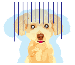 Exciting toy poodie sticker #10512615