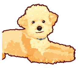 Exciting toy poodie sticker #10512630