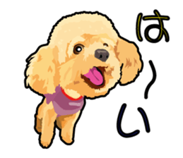 Exciting toy poodie sticker #10512635