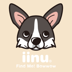 iinu - Cardigan Welsh Corgi