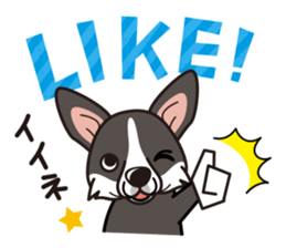 iinu - Cardigan Welsh Corgi sticker #10513211