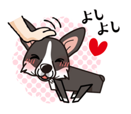 iinu - Cardigan Welsh Corgi sticker #10513212
