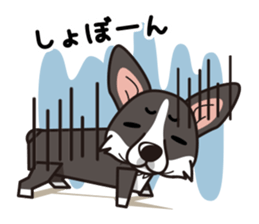 iinu - Cardigan Welsh Corgi sticker #10513222